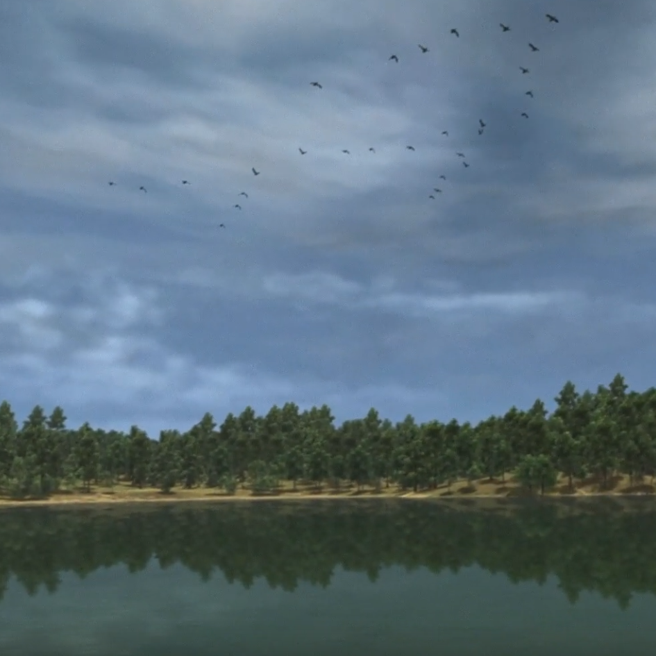 a virtual landscape with a lake, pine tree forrest, blue sky, and flying birds